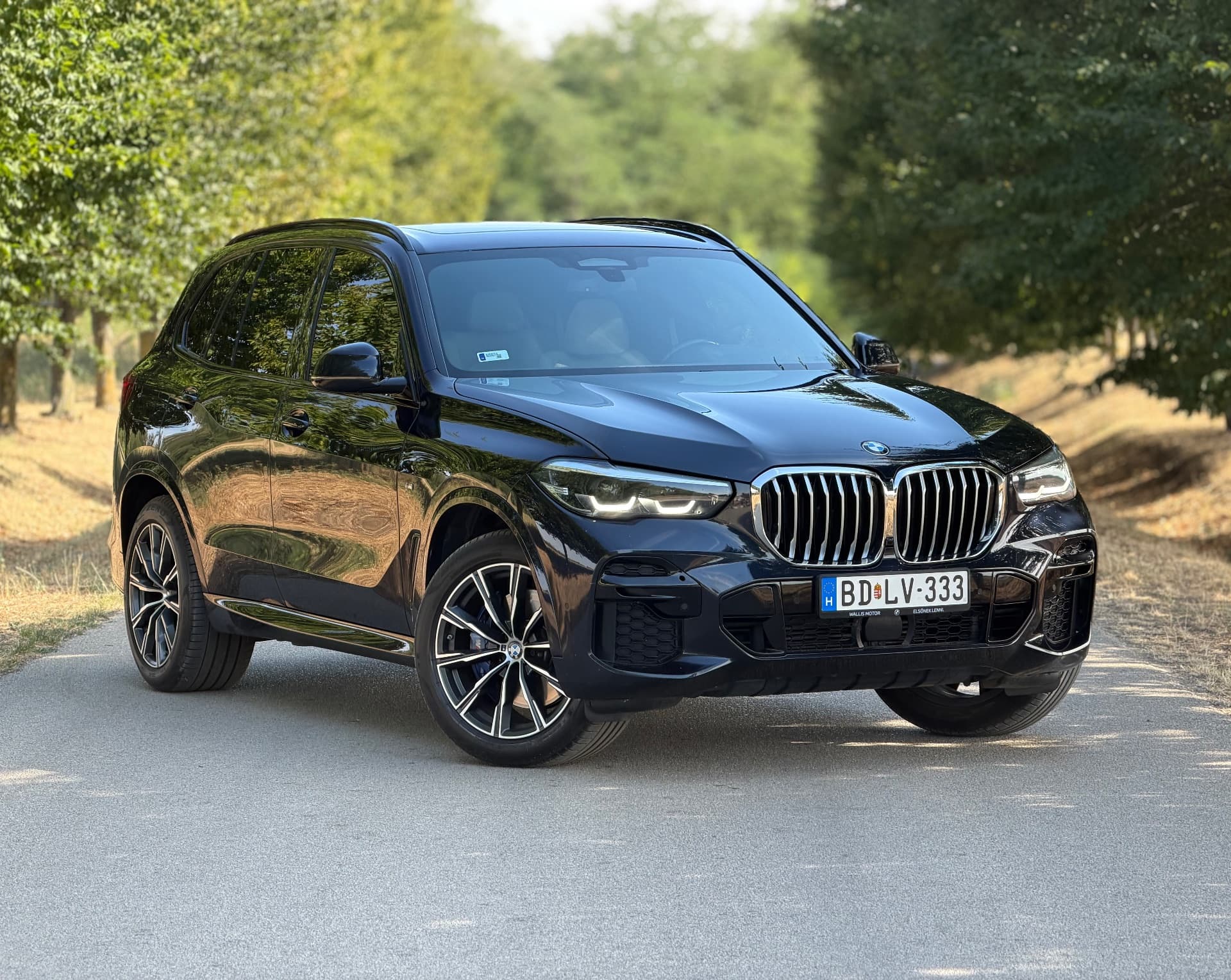 BMW X5 xDrive30D